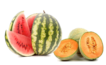 melonsgurie